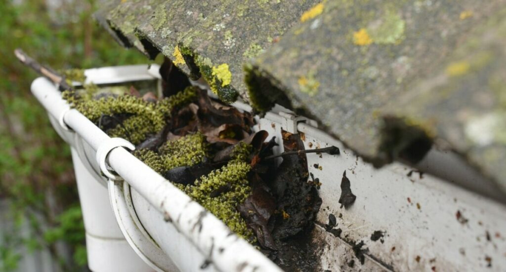 Signs You Need Your Gutters Cleaned